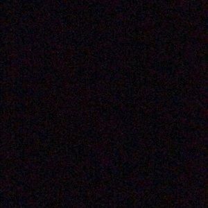 Meet your Posher, Leila